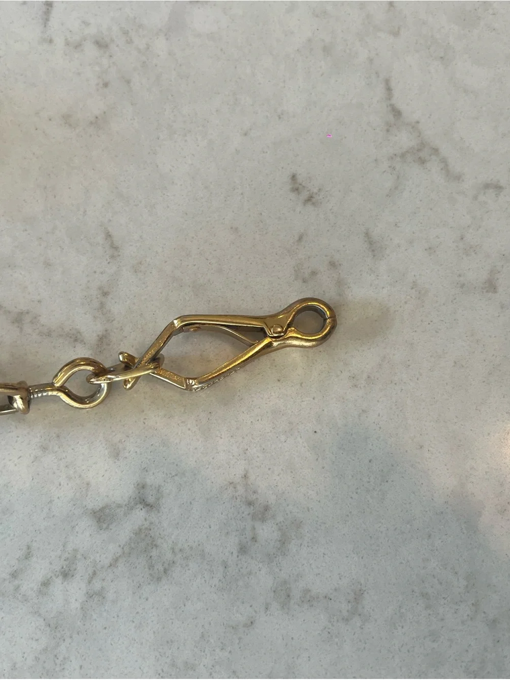 Louis Vuitton Monogram Leather Dog Leash in Brown and Tan